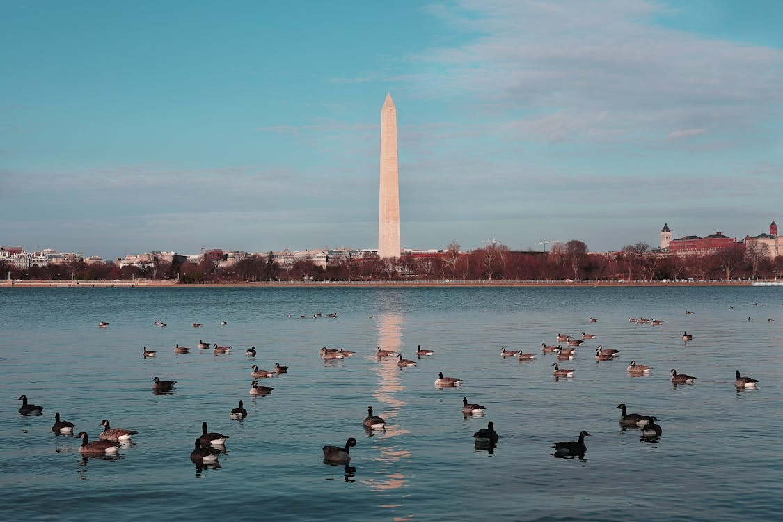 Virginia accounting and tax services